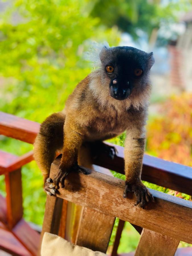 Tamarin Lodge Ampangorinana Zewnętrze zdjęcie