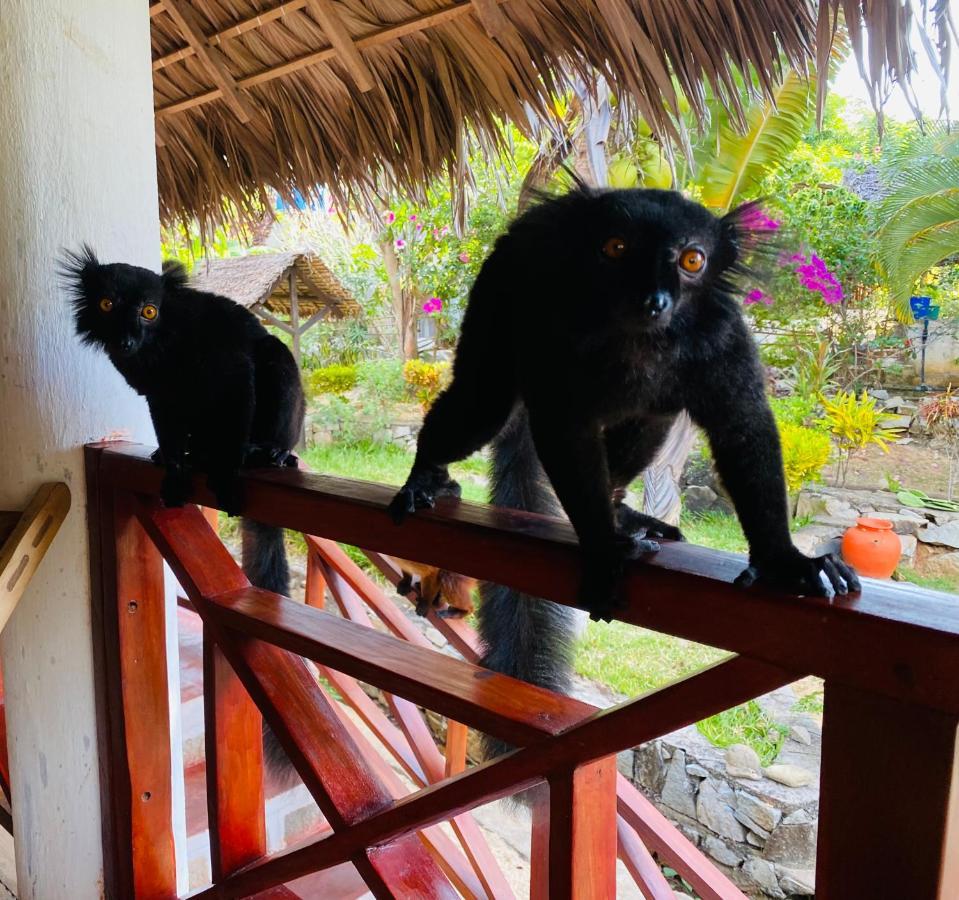 Tamarin Lodge Ampangorinana Zewnętrze zdjęcie