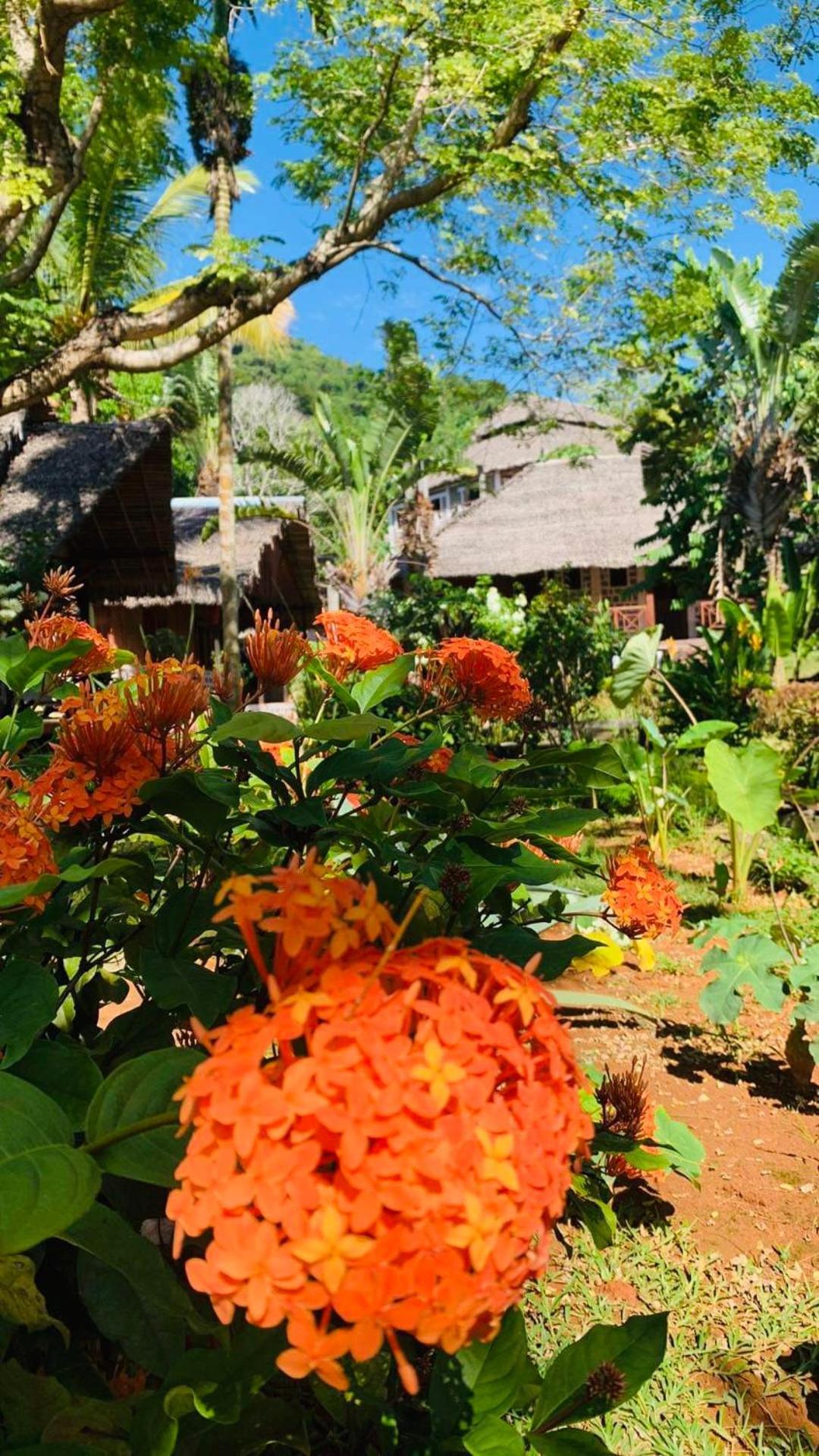 Tamarin Lodge Ampangorinana Zewnętrze zdjęcie