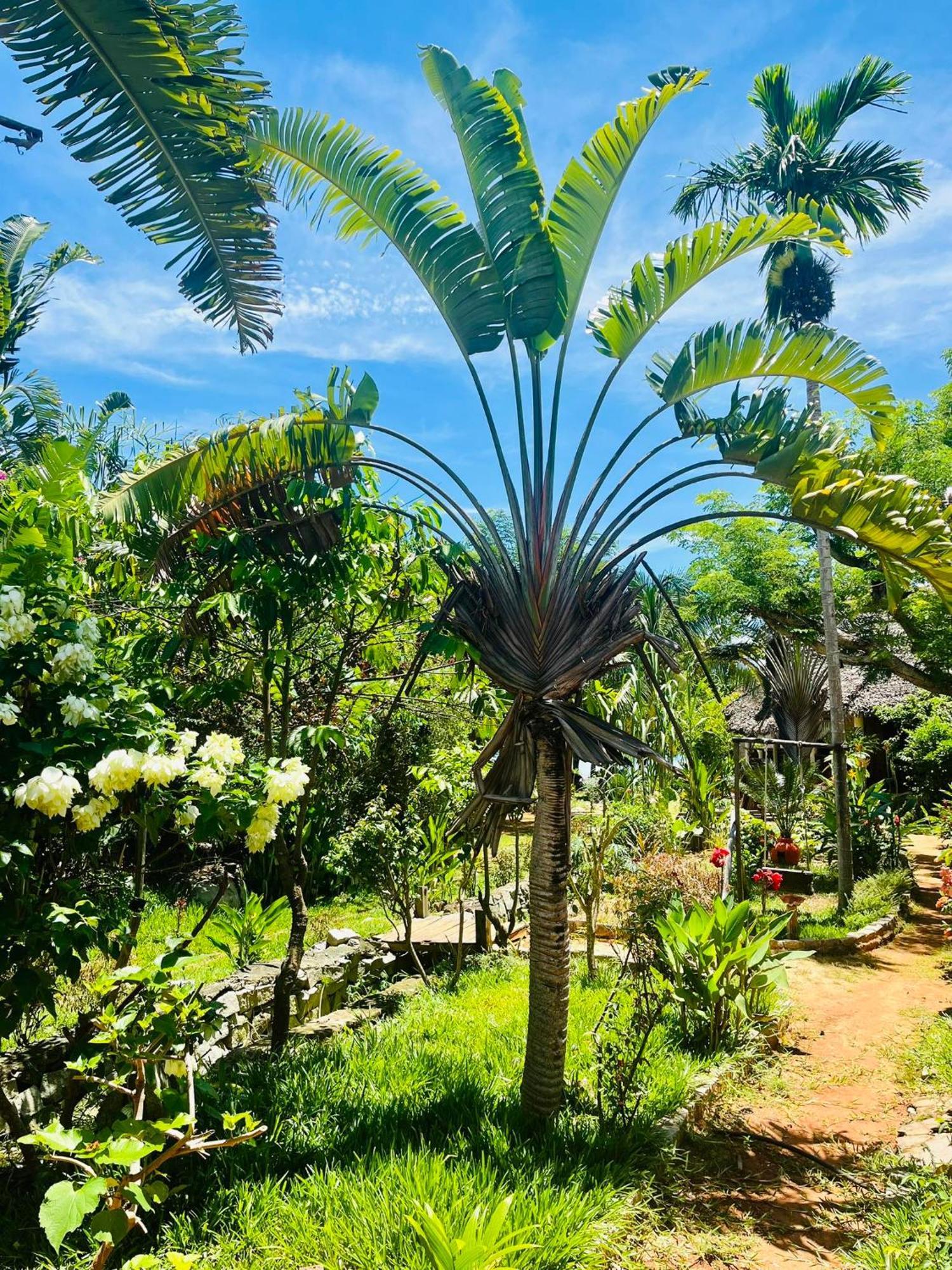 Tamarin Lodge Ampangorinana Zewnętrze zdjęcie