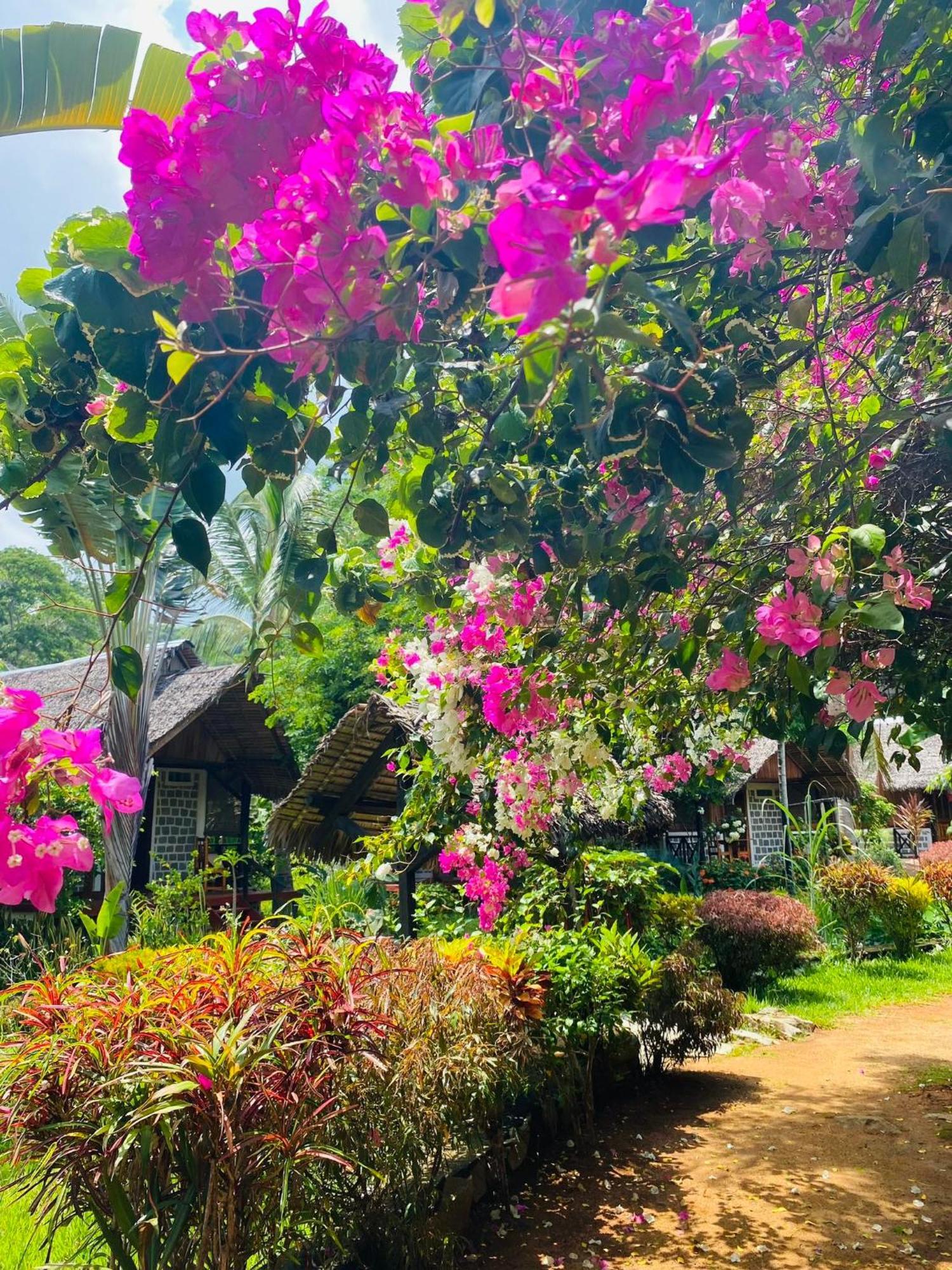 Tamarin Lodge Ampangorinana Zewnętrze zdjęcie