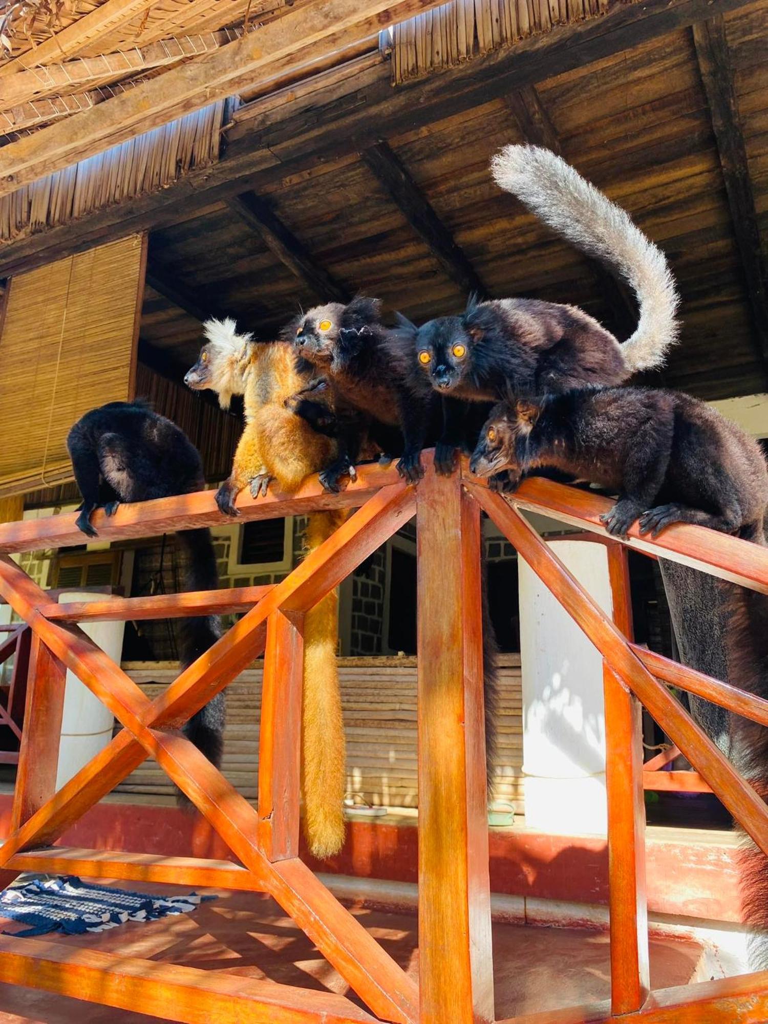 Tamarin Lodge Ampangorinana Zewnętrze zdjęcie