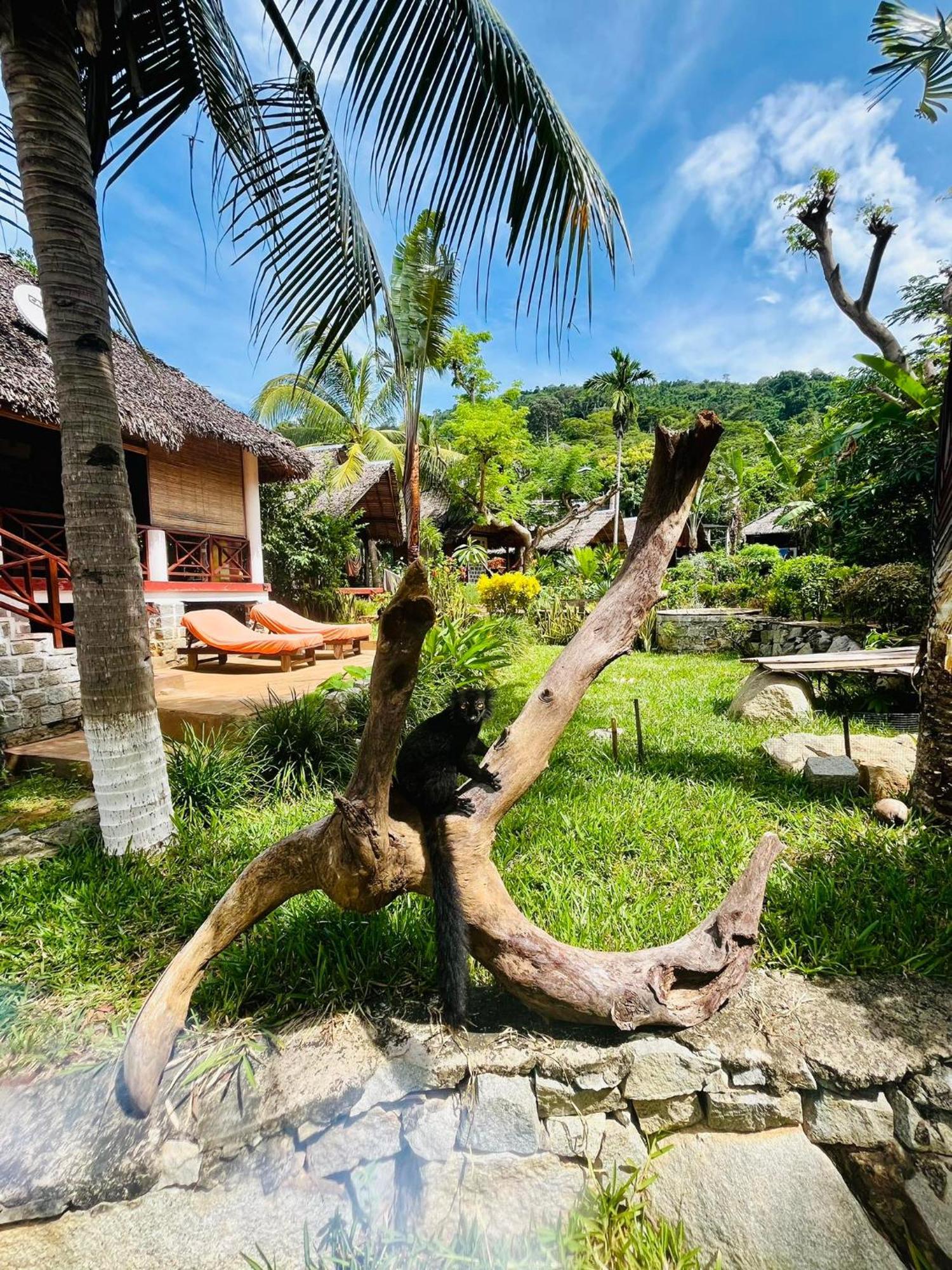 Tamarin Lodge Ampangorinana Zewnętrze zdjęcie